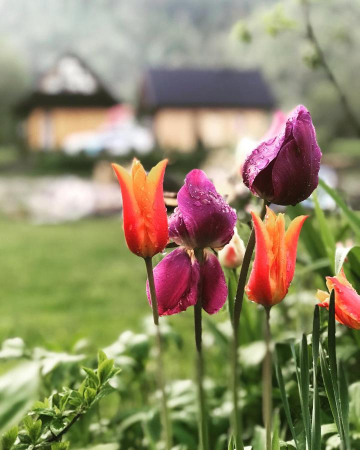 Mala Gorczanska Chatka Ochotnica Dolna Kültér fotó